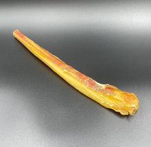 Load image into Gallery viewer, 11-12in JUMBO Bully Stick