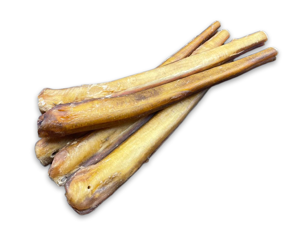 11-12in EXTRA THICK Bully Sticks